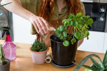 woman Watering House Plants