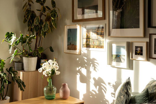 daylight shades on wall
