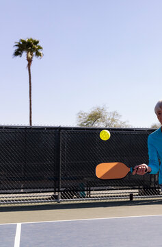 Pickleball player on court with hand ball and paddle shown palm tree