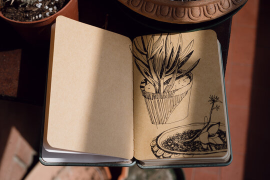 Sketchbook