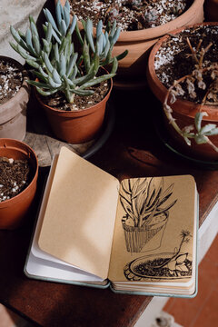Ink sketches and copyspace