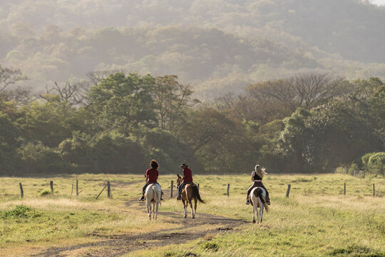 Image of a group of people riding horses.