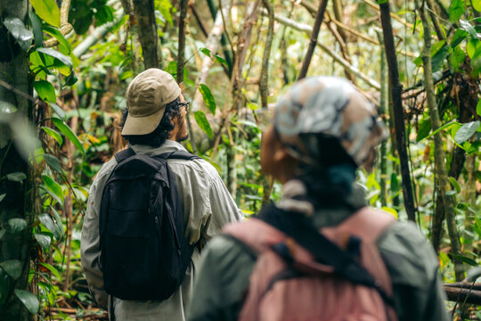 Male and female travelers in the jungle