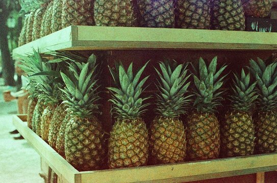 Fresh ananas on a shelf