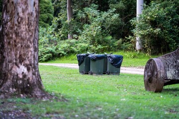 Bins at a campground. Efficient Waste Management System with Wheelie Bins at a Picturesque Camping Site in NSW National Park, Australia