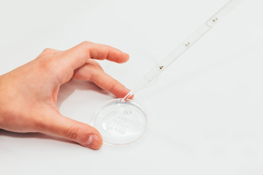 Hand holding a specimen plate with medical pipette