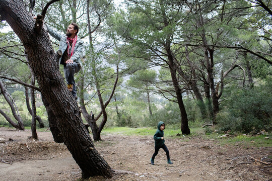 Father and little son explore the pine grove
