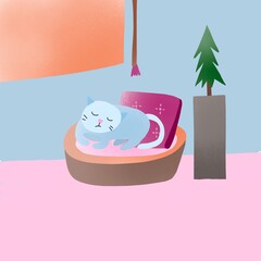 cat sleeping in the room