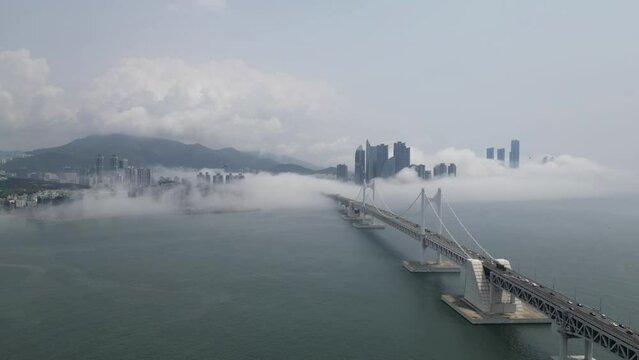 광안대교 이미지 – 찾아보기 747 스톡 사진, 벡터 및 비디오 | Adobe Stock