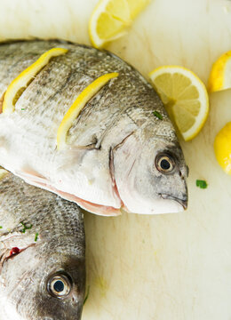 Sea Bream fish prepared for cooking
