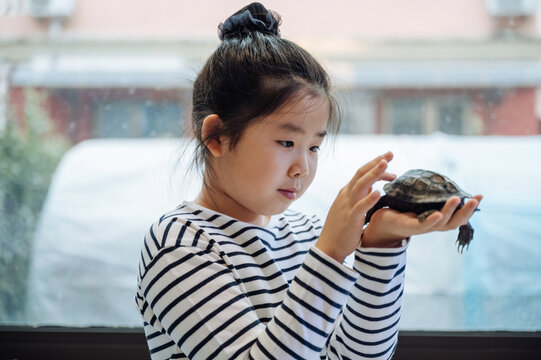 Cute girl playing with a small tortoise at home