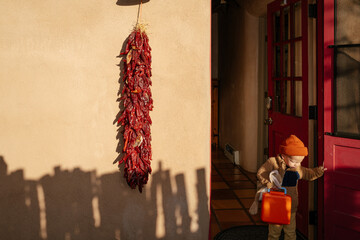 New Mexico Chile Ristra 
