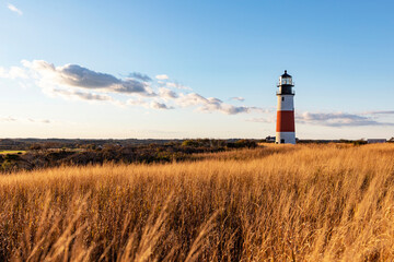Sankaty Head Lighthouse Nantucket Landscape in autumn golden grass