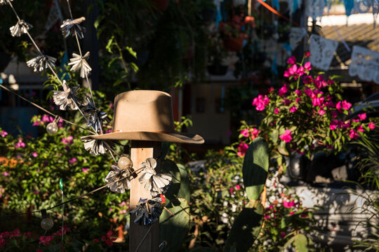 Mexican hat on a patio surrounded it by plants and flowers