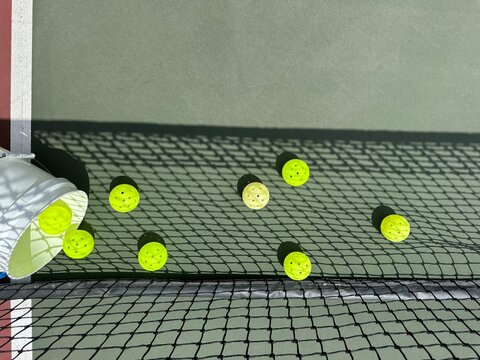 Pickleballs by the Net