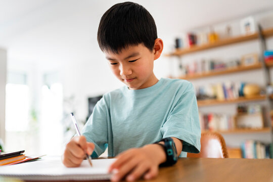 Chinese boy doing homework at home.