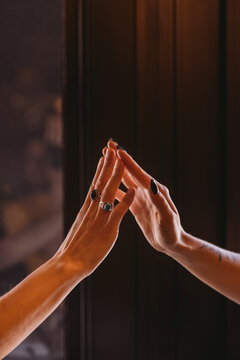 Hands Of A Couple Of Lesbian Women Touching Each Other Delicately