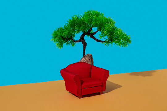 comfortable red armchair and plastic tree 