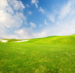 Landscape with green grass field under a blue sky