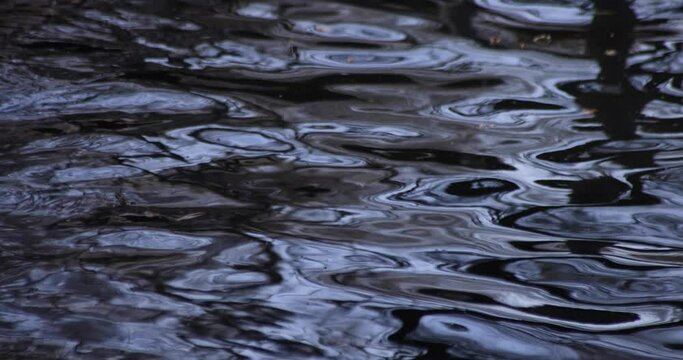 A slow motion of water surface on the pond