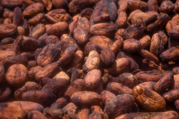 Cocoa beans and cocoa fruits.