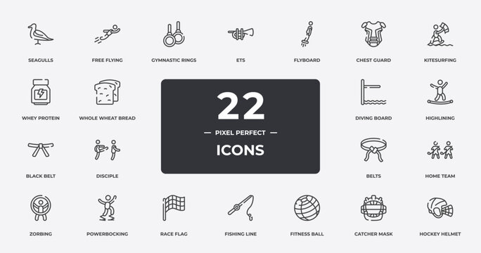 hockey outline icons set. thin line icons sheet included seagulls, gymnastic rings, flyboard, kitesurfing, highlining, powerbocking, catcher mask, hockey helmet vector.