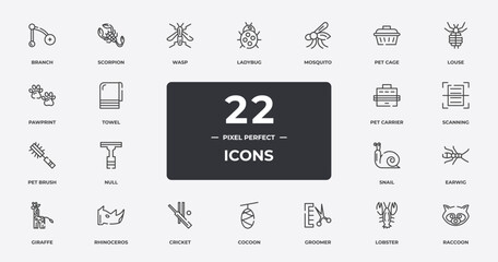 animals outline icons set. thin line icons sheet included branch, wasp, mosquito, louse, scanning, rhinoceros, lobster, raccoon vector.