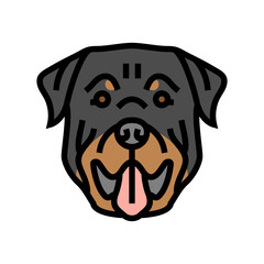 rottweiler dog puppy pet color icon vector. rottweiler dog puppy pet sign. isolated symbol illustration