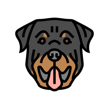 rottweiler dog puppy pet color icon vector. rottweiler dog puppy pet sign. isolated symbol illustration