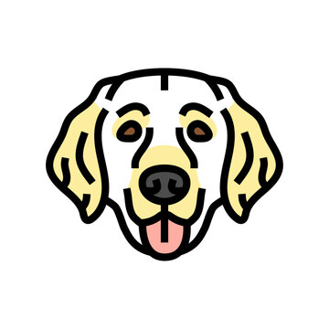 golden retriever dog puppy pet color icon vector. golden retriever dog puppy pet sign. isolated symbol illustration