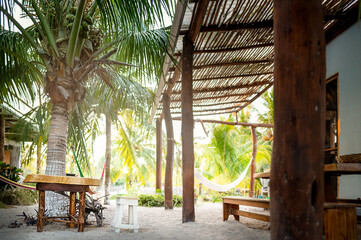 House yard in palm trees in Holbox, Mexico