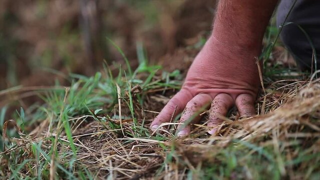 field, worker, soil, hands, working, agriculture, farming, harvest, field, crop, nature, landscape, rural, countryside, worker, man, male, person, human,
