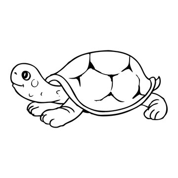 turtle line vector illustration