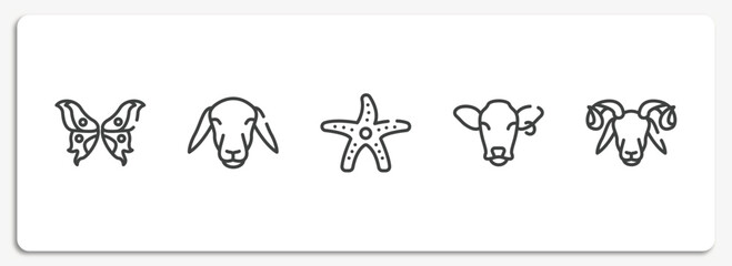 free animals outline icons set. thin line icons sheet included butterfly wings, female sheep head, starfish with dots, cow head, ram vector.