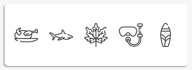tropical outline icons set. thin line icons sheet included turkey, sharks, fall, snorkel, suroard vector.