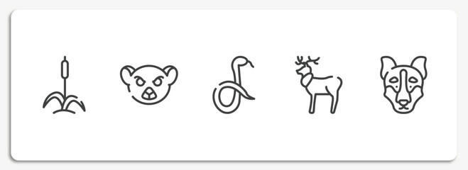 winter nature outline icons set. thin line icons sheet included cattail, lemur, snake, reindeer, siberian husky vector.