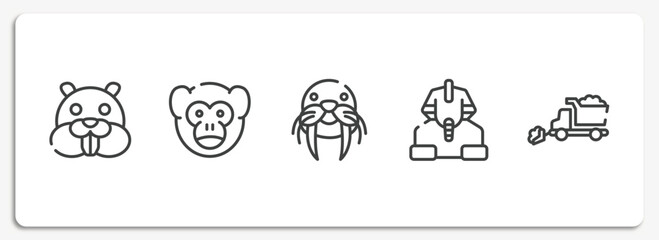 winter nature outline icons set. thin line icons sheet included beaver, monkey, walrus, sphinx, snowplow vector. © VectorStockDesign