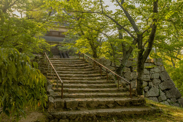Fototapeta na wymiar Stairs of boulders on hillside in nature park.