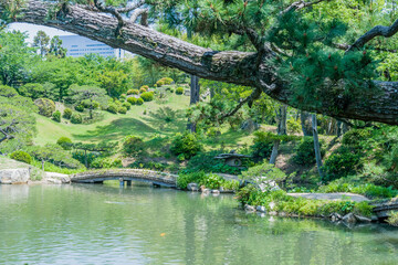 Fototapeta na wymiar Landscape of footbridge over lake at Shukkeien Gardens in Hiroshima.