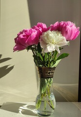 Pink peony in vase