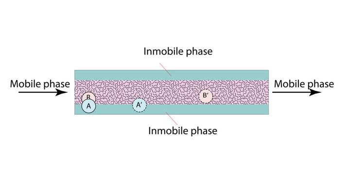 2D illustration of a chromatographic column with mobile and stationary phases: A, B - components of the mixture being separated; A', B' - the position of the same components after a period of time