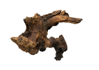 Pieces of artistic dead wood isolated