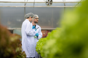 Scientists are conducting research and development on the cultivation of organic vegetables in a...