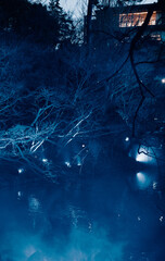 夜の庭園　青