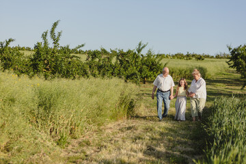 Fototapeta na wymiar elderly people farmers in the field of wheat a walk in nature