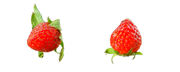 Floating ripe strawberries isolated on white background. Fresh healthy food concept. fly in the air.