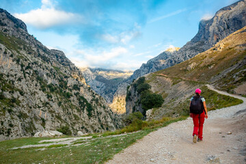Fototapeta premium Ruta del Cares in Picos de Europa National Park, Spain 