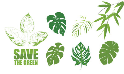 Monstera green leaves. Tropical palm leaf of winter plant foliage © D.SIGN.R