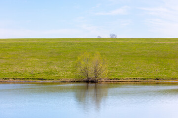 Fototapeta premium Spring landscape with a pond in the middle of green grass and blue sky