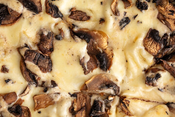 Mushroom pizza with cream cheese, close-up, background